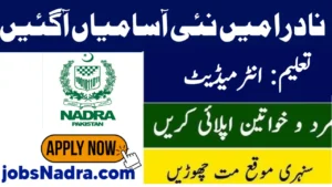 How to Apply for Nadra Junior Executive Jobs 2025