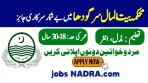 Sargodha Social Welfare and Bait UL Maal Department Jobs 2025