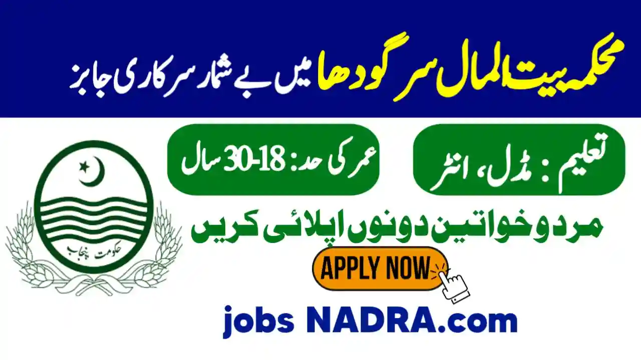 Sargodha Social Welfare and Bait UL Maal Department Jobs 2025 social welfare and bait ul maal punjab jobs Apply Jobs NADRA