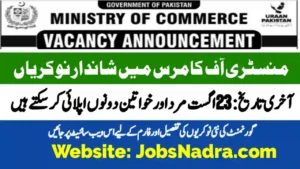 Program Officer Jobs 2025 in Ministry of Commerce