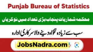 Punjab Bureau of Statistics Tehsil Monitor Jobs 2025 Apply Online