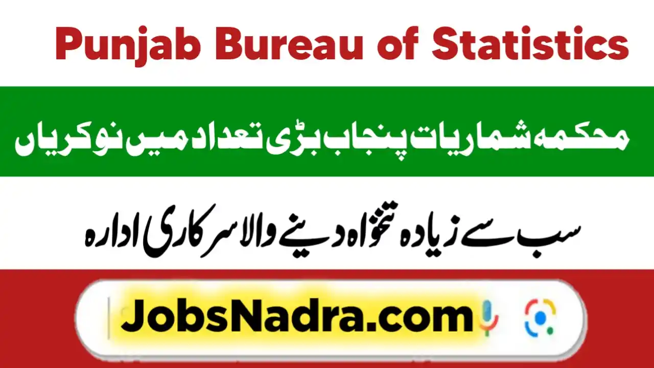 Punjab Bureau of Statistics Tehsil Monitor Jobs 2025 Apply Online Punjab Bureau of Statistics Tehsil Monitor Jobs 2025 Apply Online
