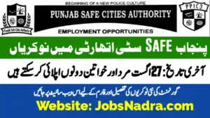 Punjab Safe City Authority Jobs 2025