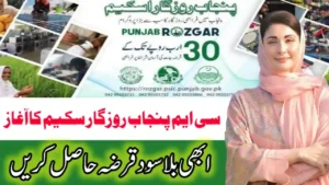 CM Punjab Rozgar Scheme 2025: Online Registration, Loan Guide