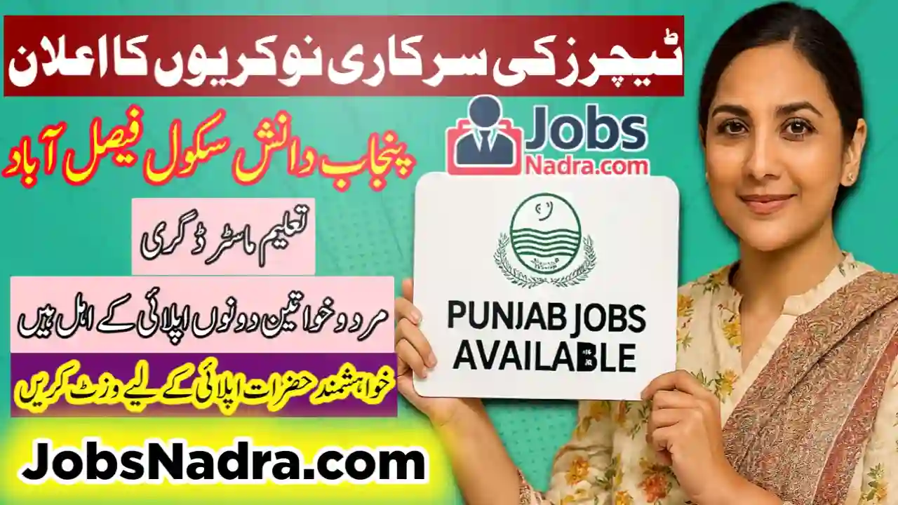 Punjab Daanish School Jobs in Faisalabad Jobs NADRA