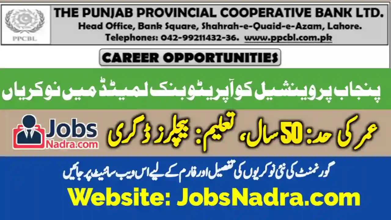 Punjab Provincial Cooperative Bank Ltd PPCBL Jobs Jobs NADRA
