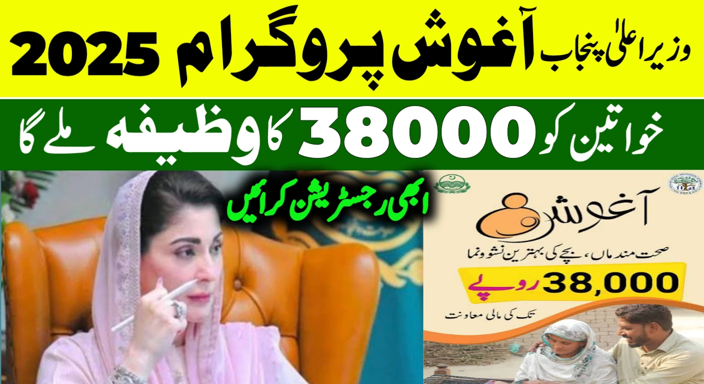 CM Punjab Aghosh Program 2025 Apply Online Jobs NADRA