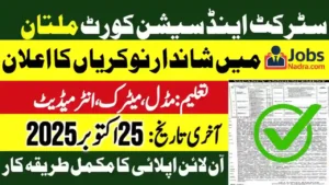 District and Session Court Multan Jobs October 2025