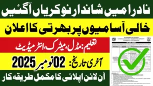 Nadra Jobs 2025 Latest Advertisement and Online Apply