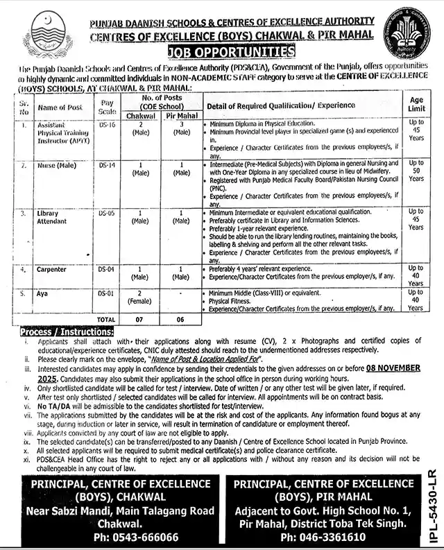 Punjab Daanish Schools Chakwal Pir Mahal Jobs 2025 Advertisement