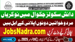 Punjab Daanish Schools Chakwal Pir Mahal Jobs 2025