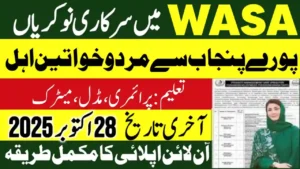 Water and Sanitation Agency (WASA) Jhang Jobs 2025, Jobs in Jhang