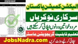 Election Commission Of Pakistan (ECP) Islamabad Jobs 2025