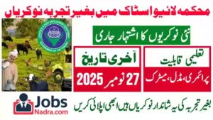 Livestock and Dairy Development Department Punjab Jobs 2025