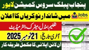 PPSC Latest Jobs Advertisement 42/2025 – Apply Online