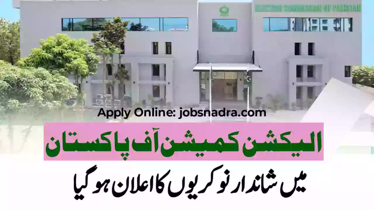 ECP Jobs 2026 Jobs NADRA