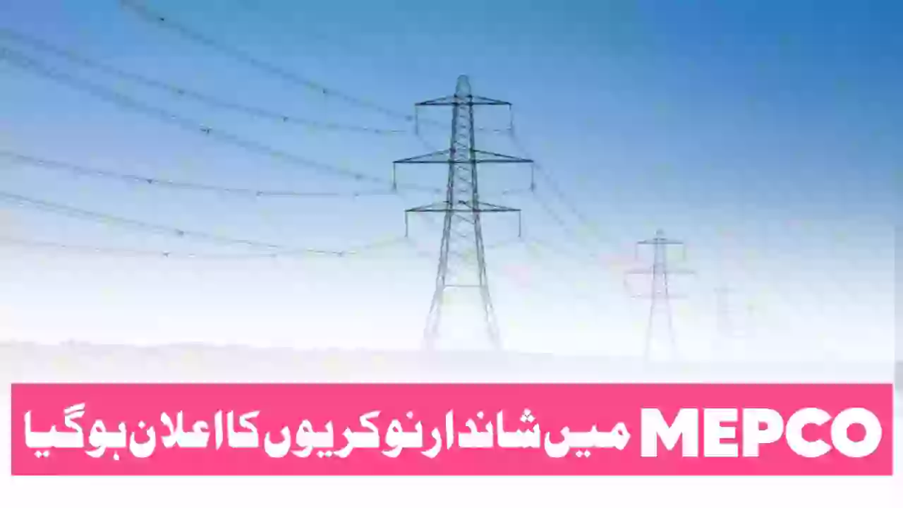 MEPCO Jobs 2026 Apply Online Jobs NADRA