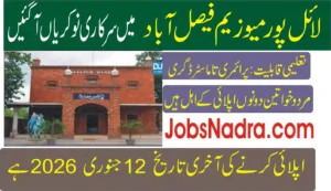 Latest Lyallpur Museum Faisalabad Jobs 2026 Apply Online Thumbnail
