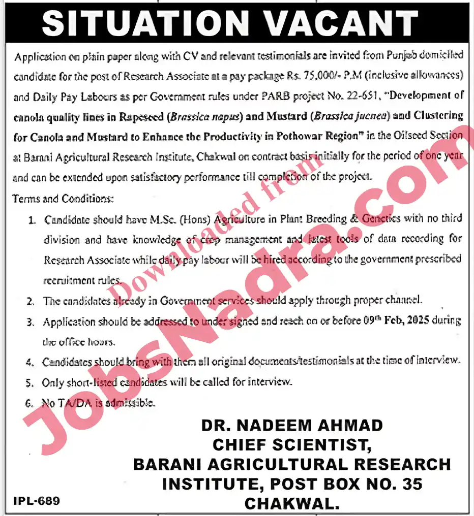Barani Agriculture Research Institute Chakwal Jobs 2026 – Latest Advertisement