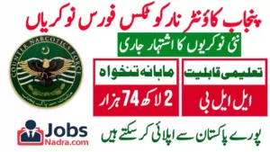 Punjab Counter Narcotics Force Jobs 2026 – Apply Online (CNF Punjab)