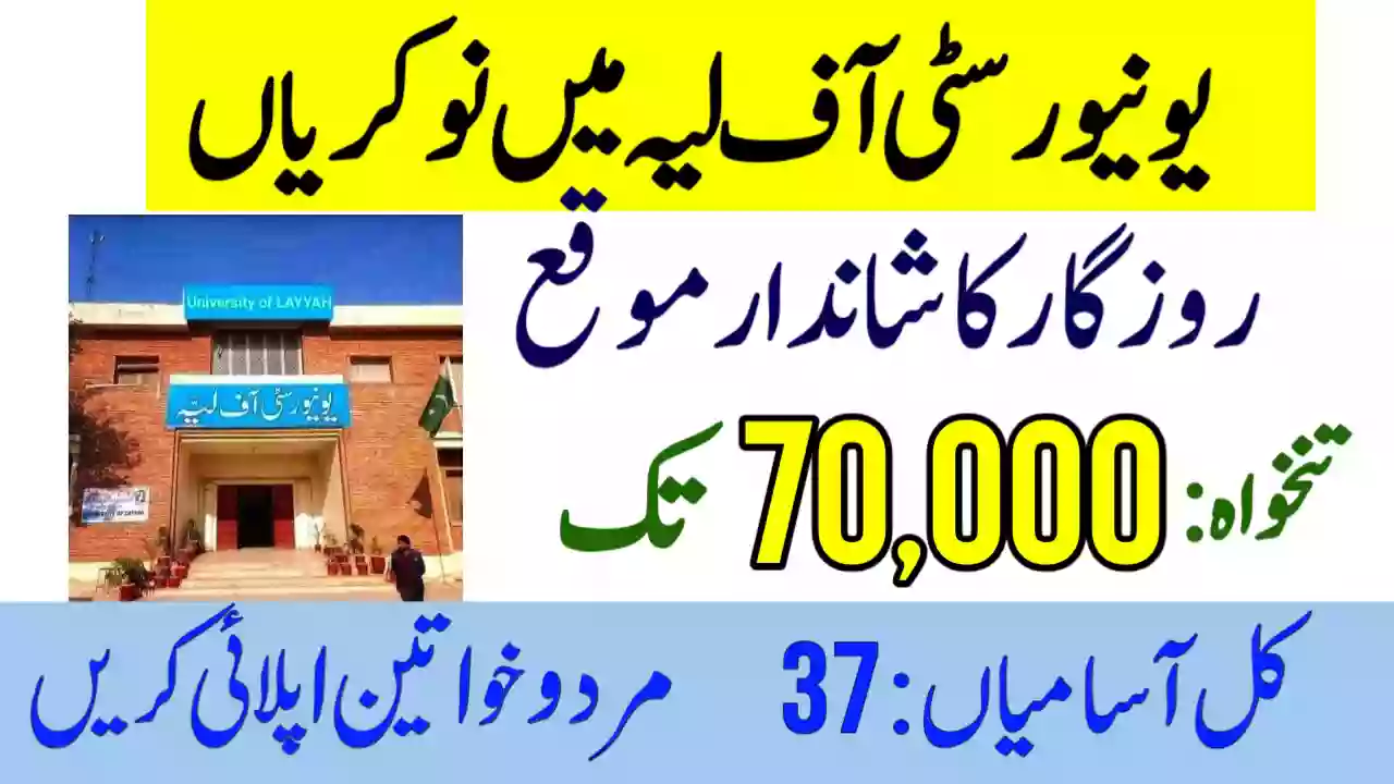 University of Layyah 2026 Jobs Apply Online University of Layyah Jobs 2026 Apply Online Jobs NADRA